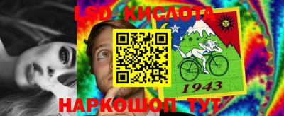 индика Тула