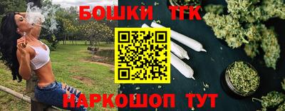индика Тула