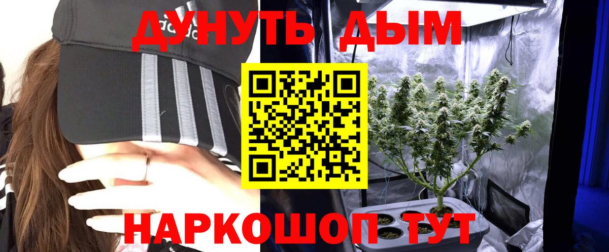 Канабис план Мытищи